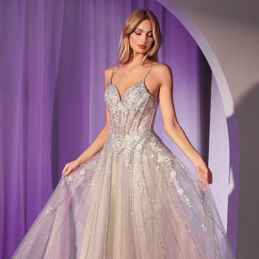 NEW LONG FORMAL SLEEVELESS LONG GOWN W/ V-NECKLINE & CRYSTAL EMBROIDERY CD786